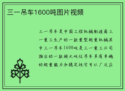 三一吊车1600吨图片视频