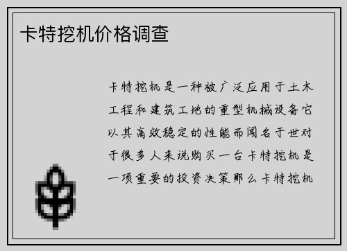 卡特挖机价格调查